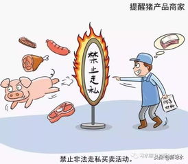 習水豬肉放心購，飼料原料供應穩——解析非洲豬瘟防控下的市場保障
