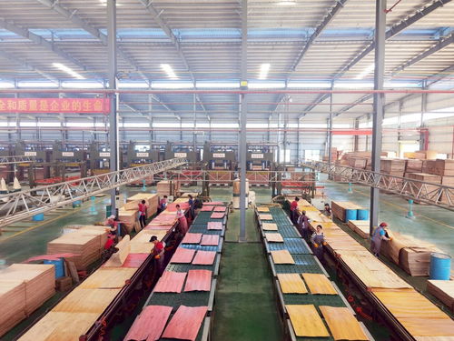 啟陽新材料 勇立潮頭，成為貴港首家獲全國工業產品生產許可證的飼料原料銷售企業